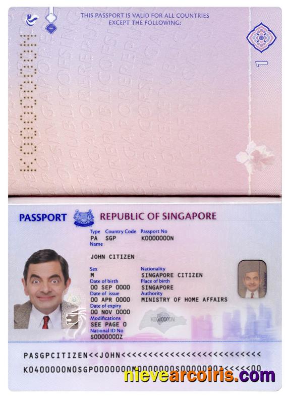 Singapore new pass 2017+